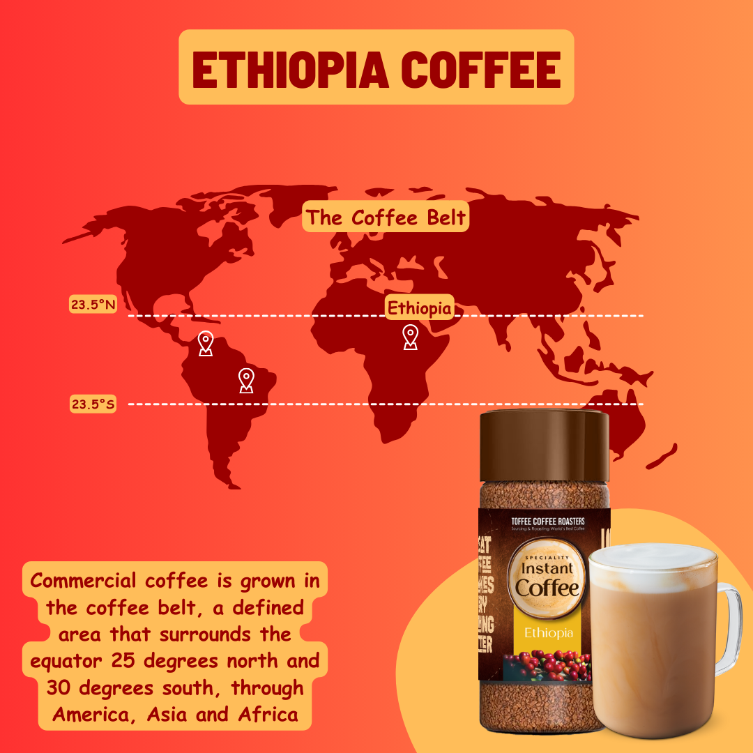 Ethiopia Speciality Instant Coffee Toffee Coffee Roasters