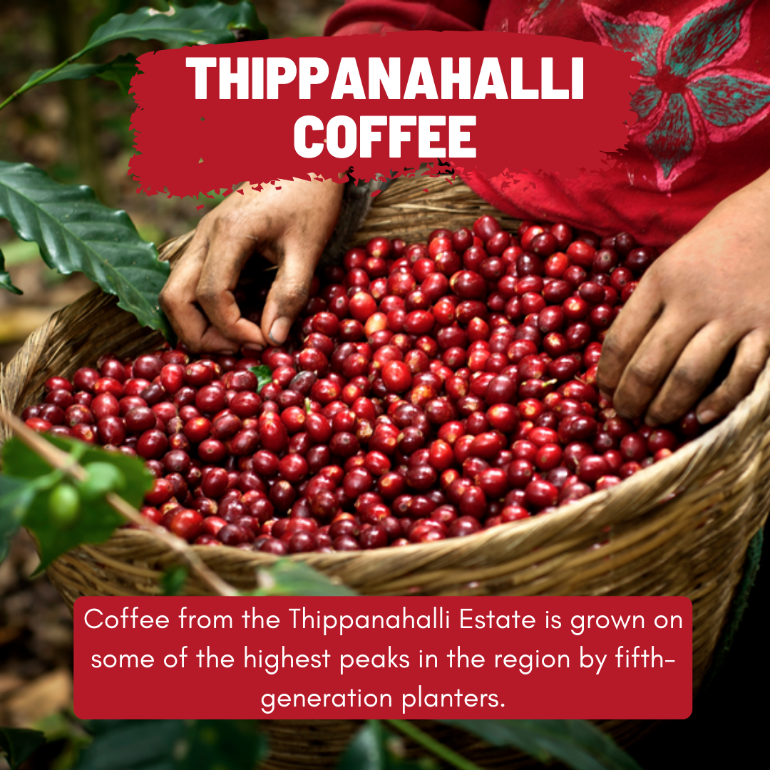 Thippanahalli Estate Coffee Toffee Coffee Roasters
