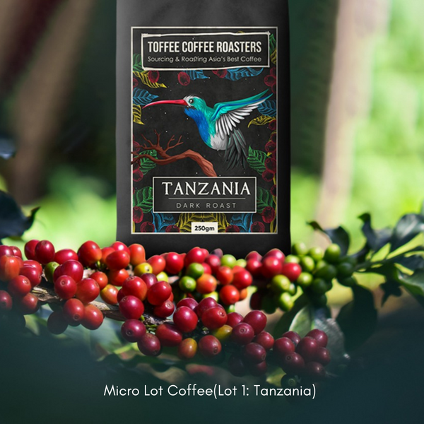Tanzania Coffee (From Mt Kilimanjaro)