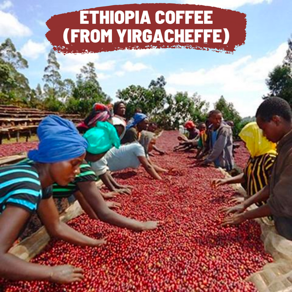 Ethiopia Coffee (From Yirgacheffe)
